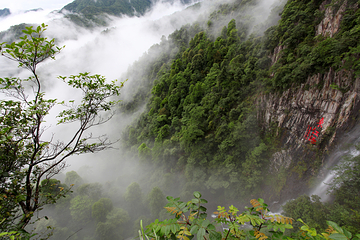 三百山景区第 51 张图片