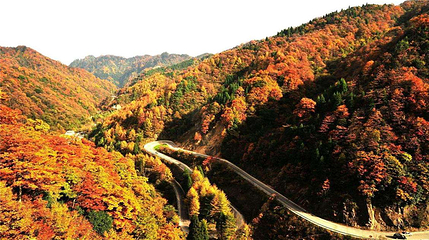 汉中龙头山国际旅游度假区第 51 张图片