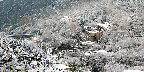 黄山-温泉景区第 37 张图片
