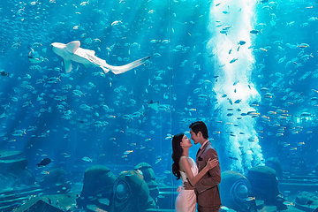 三亚亚特兰蒂斯失落的空间水族馆第 44 张图片