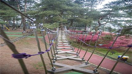 香纸沟枫叶谷旅游度假区第 56 张图片