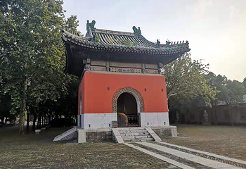 袁林第 16 张图片