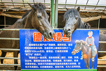 侨鑫生态园第 15 张图片
