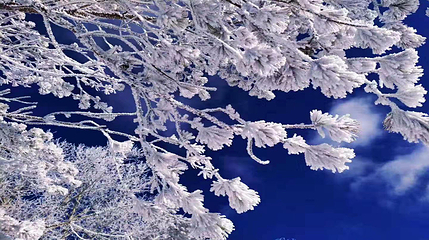 长白山仙峰雪岭景区第 55 张图片