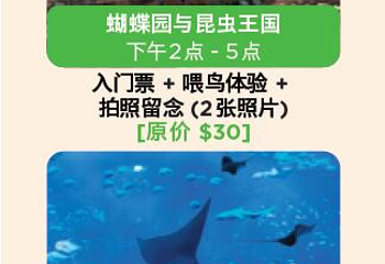 圣淘沙岛第 84 张图片