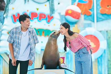 海合安成都极地海洋公园第 71 张图片