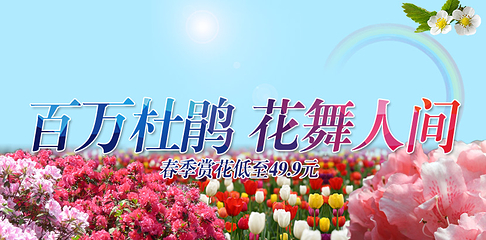 花舞人间第 20 张图片