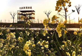 花千谷文化旅游景区第 11 张图片