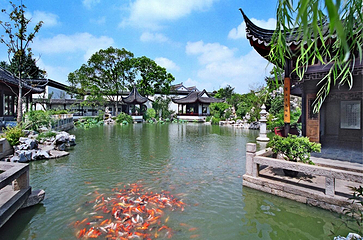 珍珠塔景园第 27 张图片