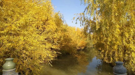 五家渠青湖御园第 5 张图片