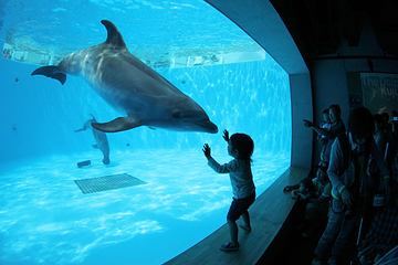 九十九岛水族馆第 13 张图片