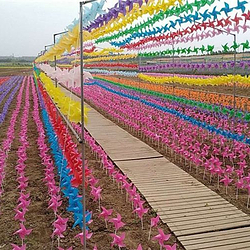 万亩花海