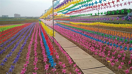 万亩花海第 1 张图片