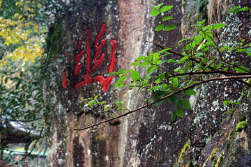 神龙川风景区第 49 张图片