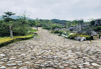 千岛湖石林景区第 45 张图片