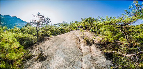 龙须山景区第 14 张图片