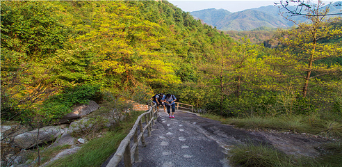 龙须山景区第 18 张图片