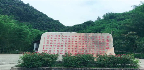 夏霖九天银瀑风景区第 15 张图片