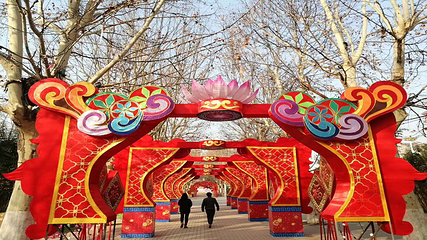 神州鸟园第 26 张图片