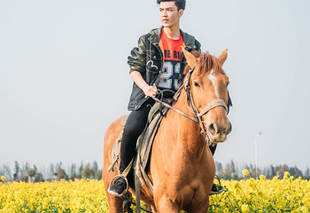古柏渡飞黄旅游区第 32 张图片