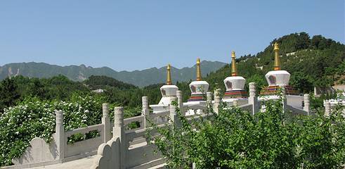 万佛园第 13 张图片