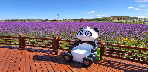 草原神画第 13 张图片