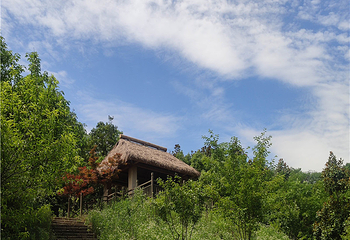 老山不老村景区第 8 张图片