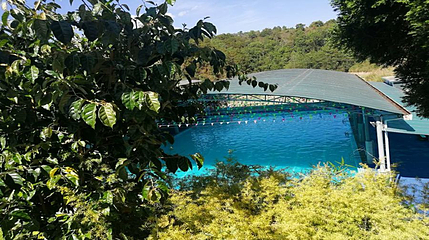 龙窝温泉第 1 张图片
