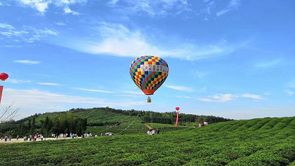 万亩茶园·茶园里梦想小镇第 34 张图片