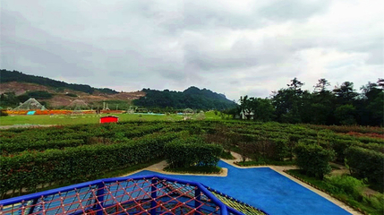 花小原景区第 20 张图片