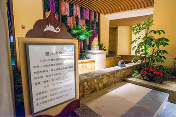 孔雀王温泉会馆第 28 张图片