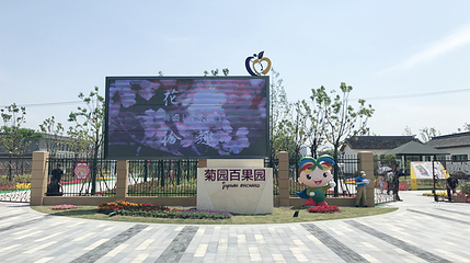 菊园百果园第 8 张图片