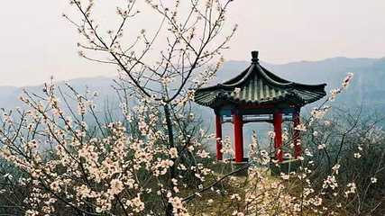 佛光山第 5 张图片