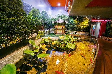 Sea Life COEX水族馆第 27 张图片