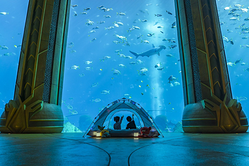 三亚亚特兰蒂斯失落的空间水族馆第 130 张图片