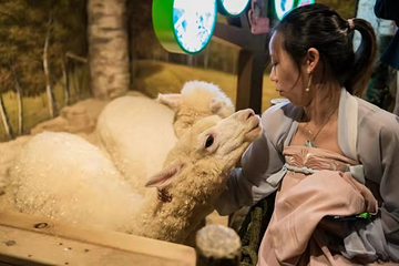 正佳雨林生态植物园第 107 张图片