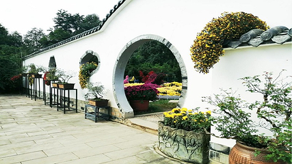 都江堰·玫瑰花溪谷第 30 张图片