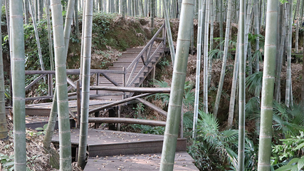 趣野吧探索营地(薛家生态园)第 41 张图片