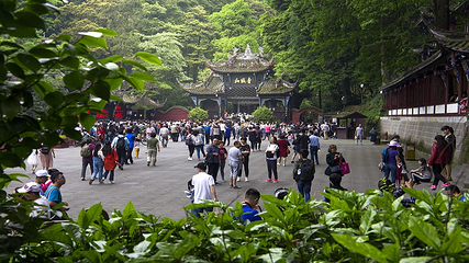 青城山第 144 张图片