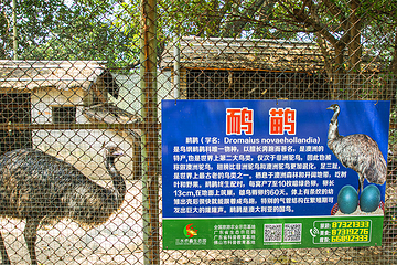 侨鑫生态园第 34 张图片