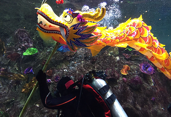 墨尔本水族馆第 45 张图片