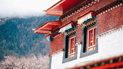 雅鲁藏布大峡谷第 117 张图片