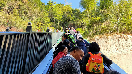 三清山逍遥谷第 31 张图片