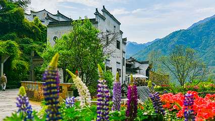 婺源篁岭景区第 30 张图片