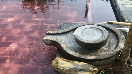 九昱汉水温泉旅游度假区第 37 张图片