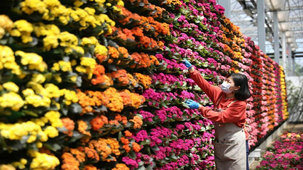 中国杜鹃花博览园第 22 张图片