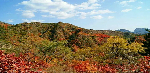 白银坨旅游风景区第 10 张图片