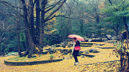 神龙川风景区第 39 张图片