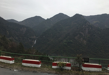 天目山自然保护区第 61 张图片