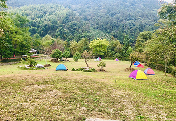 千岛湖石林景区第 25 张图片